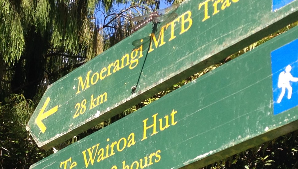 Moerangi Mountain Bike Trail