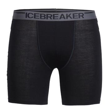 Icebreaker Men's Anatomica Long Boxers - Black