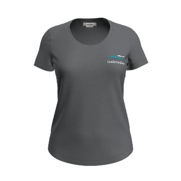 Icebreaker Women's Merino Tech Lite II Aotearoa T-Shirt - Gritstone HTHR