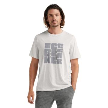 Icebreaker Men's Central Short Sleeve T Shirt