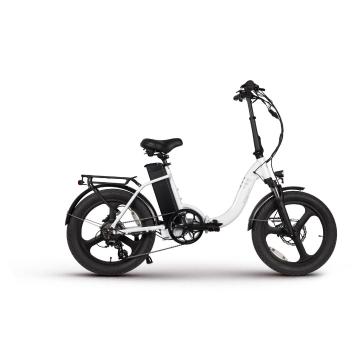 Magnum E-bikes Premium Low Step Folding E-Bike