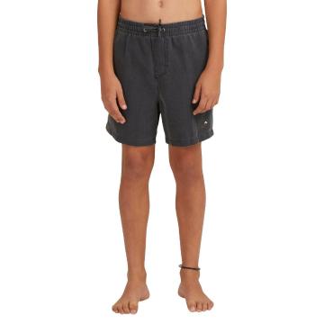 Quiksilver Youth Surfwash Volley Swim Shorts - Black