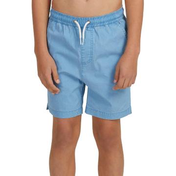 Quiksilver Youth Voyager WS Volley Shorts - Dusk Blue