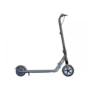 Segway Ninebot E10 Youth Scooter