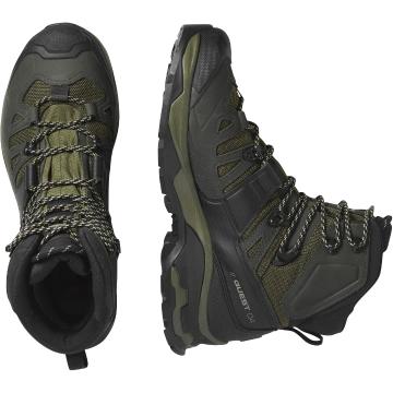 Salomon Quest 4 GTX Hiking Boots - Olive Night/Peat/Safari