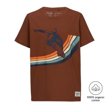 Torpedo7 Boys Ecopulse Short Sleeve Explore Graphic T-Shirt - Henna