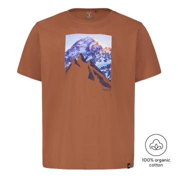 Torpedo7 Men's Organic Graphic Short Sleeve Photo T-Shirt - Baked Clay