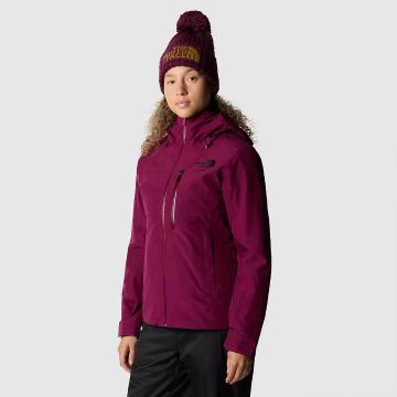 The North Face Women's Descendit Snow Jacket