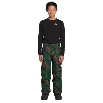 The North Face Boys Freedom Insulated Pants - Evergreen Mountain Camo Print