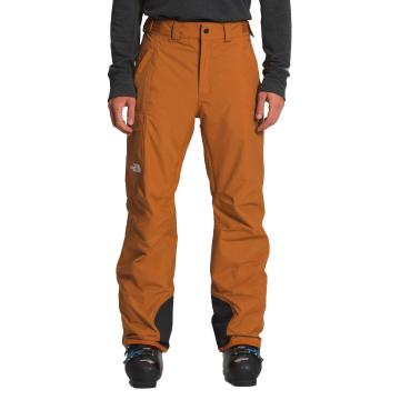The North Face Men's Freedom Pants - Leather Brown