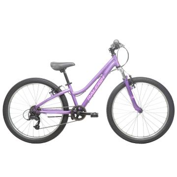 Raleigh 2022 Destiny 24 Kids Bike - Purple