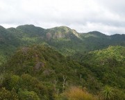 A day Hike to the Mt Pirongia Summit
