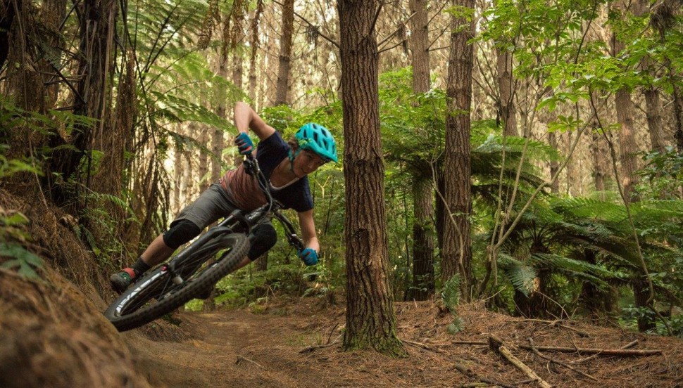Haka Tours: The 5 Most Epic MTB Trails in New Zealand