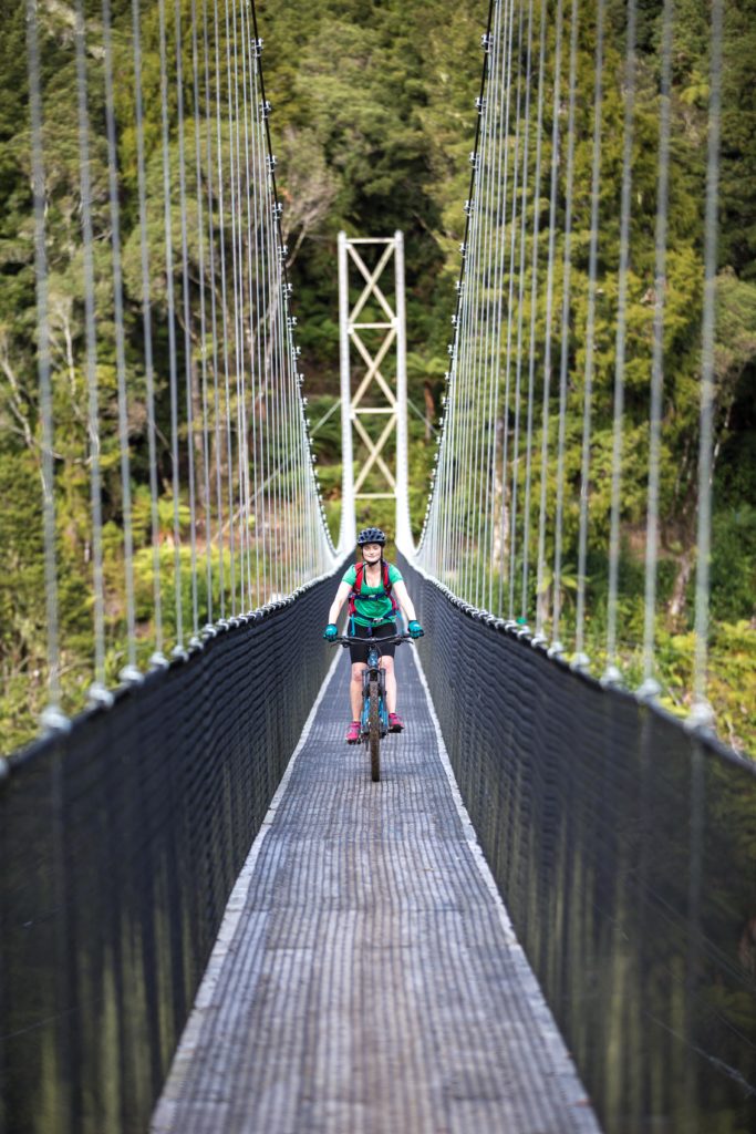 Timber Trail Suspension Bridge 3