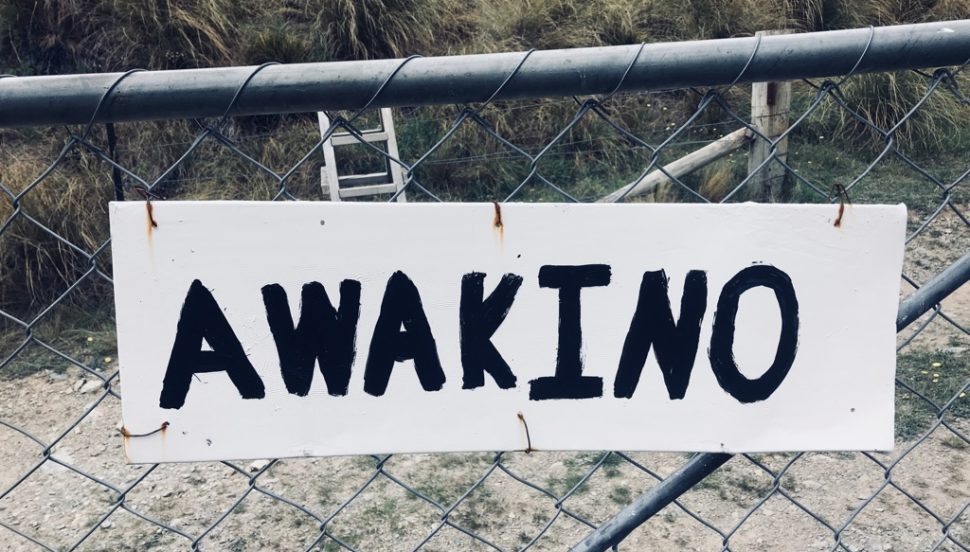 Away in Awakino