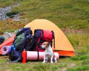 Choosing The Right Tent