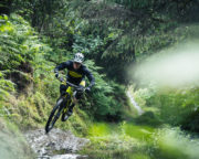 How to Choose Your Mountain Bike