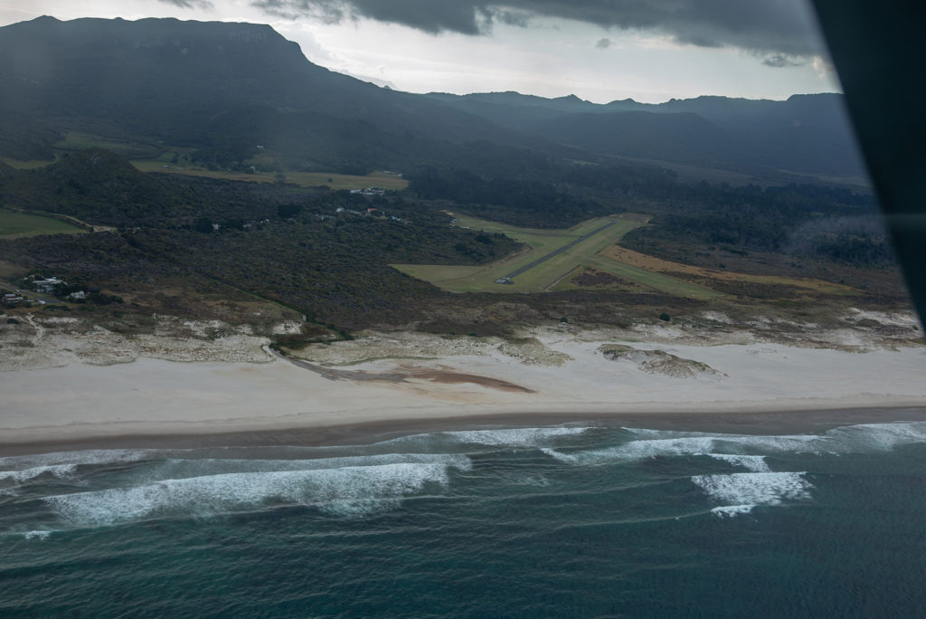 Great Barrier Island, from the tiny plane.